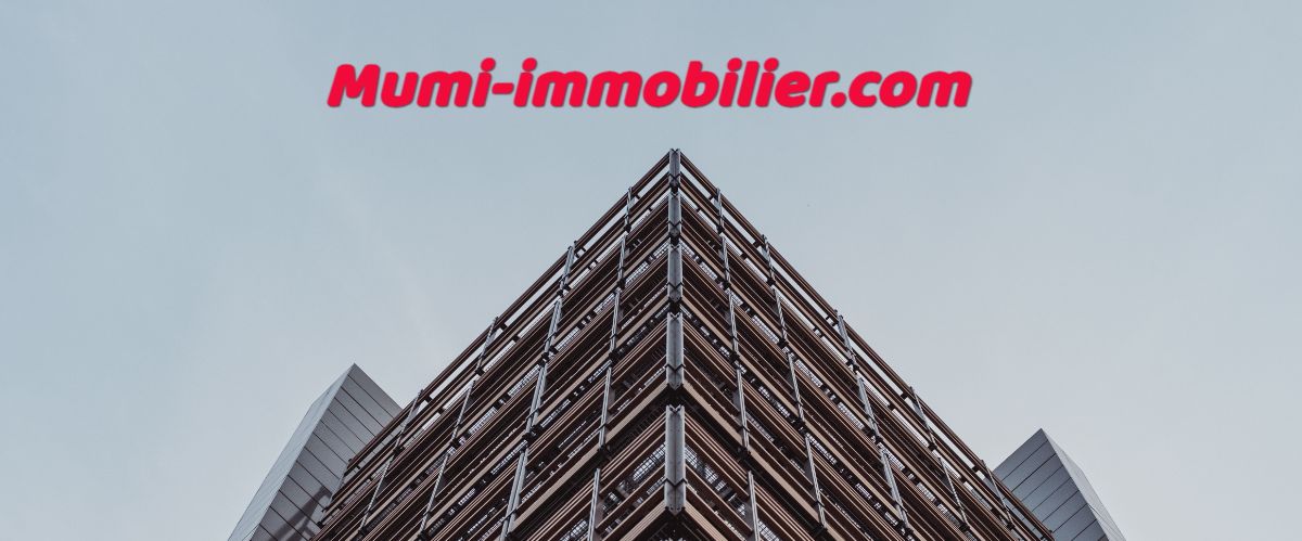 mumi-immobilier.com